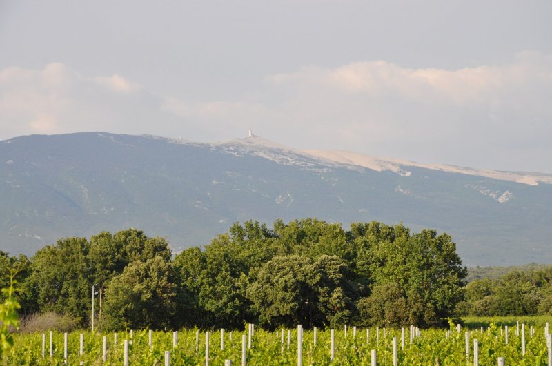 Sortie Le Ventoux le 6 juin 2015